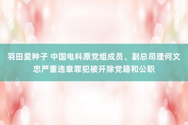 羽田爱种子 中国电科原党组成员、副总司理何文忠严重违章罪犯被开除党籍和公职