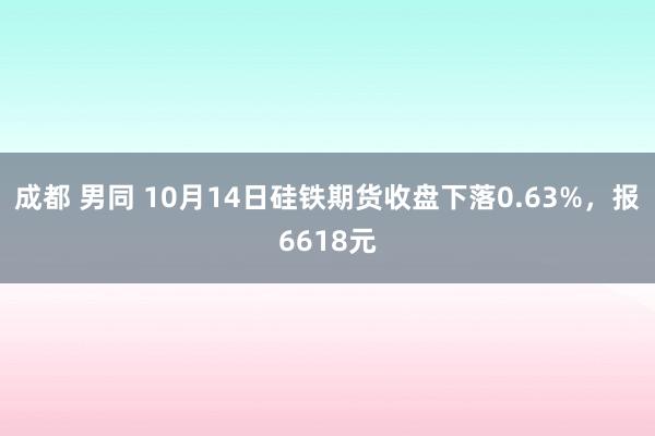 成都 男同 10月14日硅铁期货收盘下落0.63%，报6618元