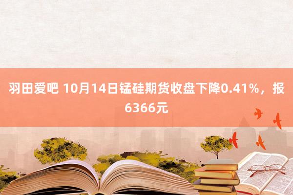 羽田爱吧 10月14日锰硅期货收盘下降0.41%，报6366元