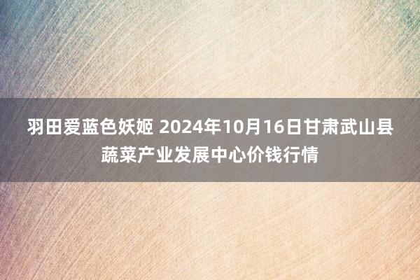 羽田爱蓝色妖姬 2024年10月16日甘肃武山县蔬菜产业发展中心价钱行情