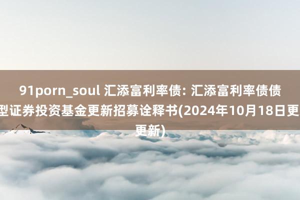 91porn_soul 汇添富利率债: 汇添富利率债债券型证券投资基金更新招募诠释书(2024年10月18日更新)