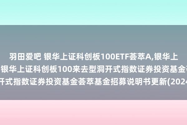 羽田爱吧 银华上证科创板100ETF荟萃A，银华上证科创板100ETF荟萃C: 银华上证科创板100来去型洞开式指数证券投资基金荟萃基金招募说明书更新(2024年第1号)