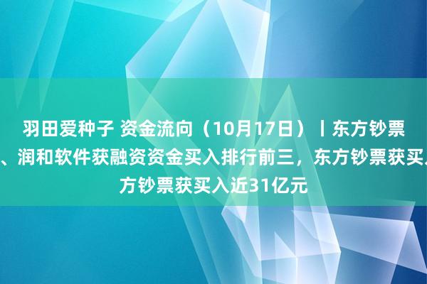 羽田爱种子 资金流向（10月17日）丨东方钞票、软通能源、润和软件获融资资金买入排行前三，东方钞票获买入近31亿元