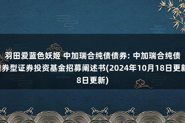 羽田爱蓝色妖姬 中加瑞合纯债债券: 中加瑞合纯债债券型证券投资基金招募阐述书(2024年10月18日更新)