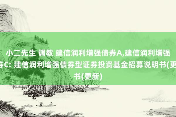 小二先生 调教 建信润利增强债券A，建信润利增强债券C: 建信润利增强债券型证券投资基金招募说明书(更新)