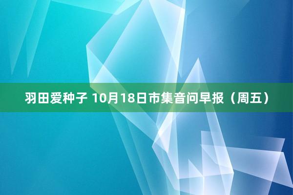 羽田爱种子 10月18日市集音问早报（周五）