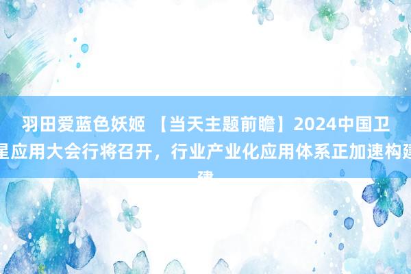 羽田爱蓝色妖姬 【当天主题前瞻】2024中国卫星应用大会行将召开，行业产业化应用体系正加速构建