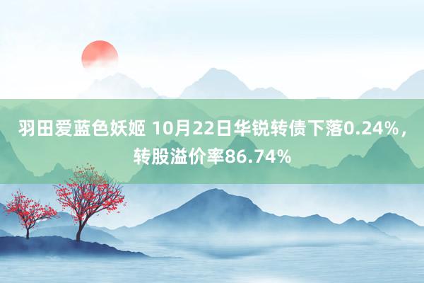 羽田爱蓝色妖姬 10月22日华锐转债下落0.24%，转股溢价率86.74%