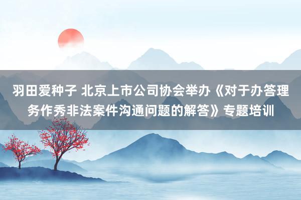 羽田爱种子 北京上市公司协会举办《对于办答理务作秀非法案件沟通问题的解答》专题培训