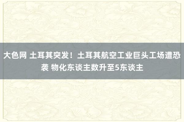 大色网 土耳其突发！土耳其航空工业巨头工场遭恐袭 物化东谈主数升至5东谈主