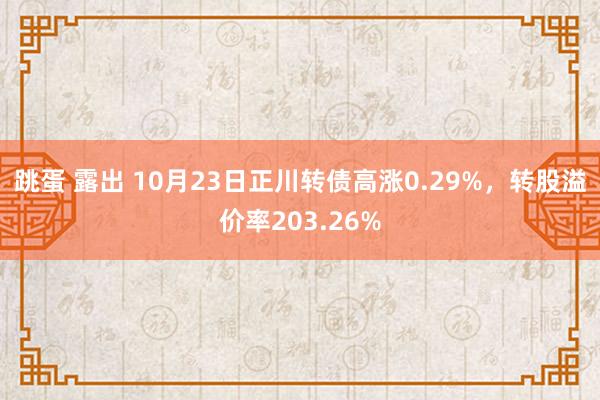 跳蛋 露出 10月23日正川转债高涨0.29%，转股溢价率203.26%