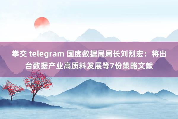 拳交 telegram 国度数据局局长刘烈宏：将出台数据产业高质料发展等7份策略文献