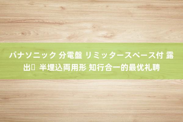 パナソニック 分電盤 リミッタースペース付 露出・半埋込両用形 知行合一的最优礼聘