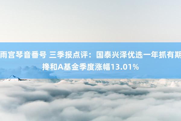 雨宫琴音番号 三季报点评：国泰兴泽优选一年抓有期搀和A基金季度涨幅13.01%