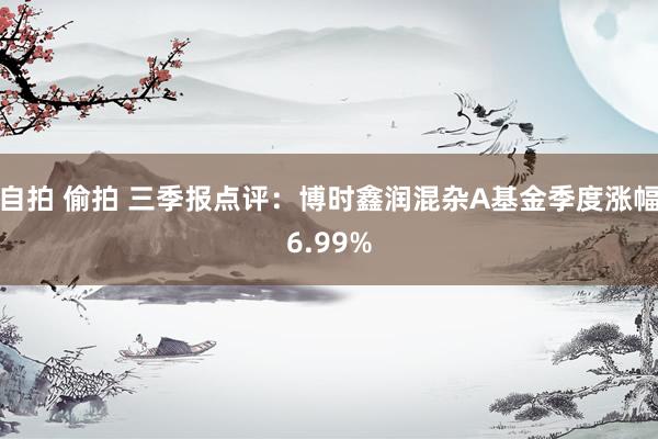 自拍 偷拍 三季报点评：博时鑫润混杂A基金季度涨幅6.99%