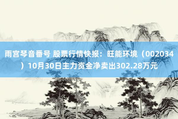 雨宫琴音番号 股票行情快报：旺能环境（002034）10月30日主力资金净卖出302.28万元