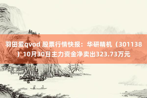 羽田爱qvod 股票行情快报：华研精机（301138）10月30日主力资金净卖出323.73万元