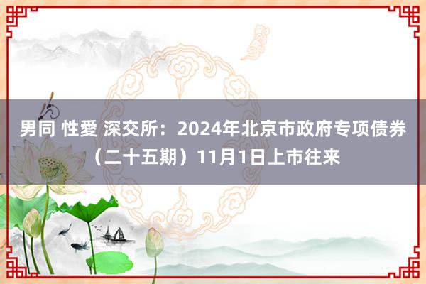 男同 性愛 深交所：2024年北京市政府专项债券（二十五期）11月1日上市往来