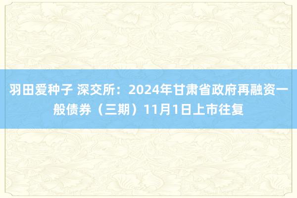 羽田爱种子 深交所：2024年甘肃省政府再融资一般债券（三期）11月1日上市往复