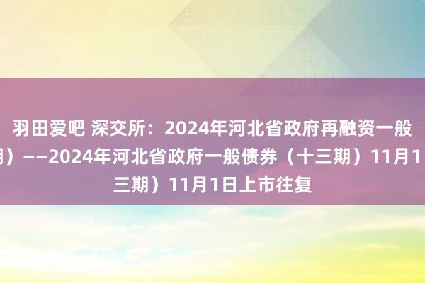 羽田爱吧 深交所：2024年河北省政府再融资一般债券（六期）——2024年河北省政府一般债券（十三期）11月1日上市往复