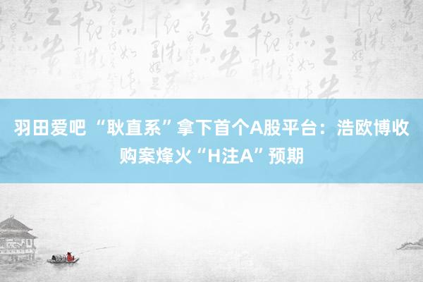 羽田爱吧 “耿直系”拿下首个A股平台：浩欧博收购案烽火“H注A”预期