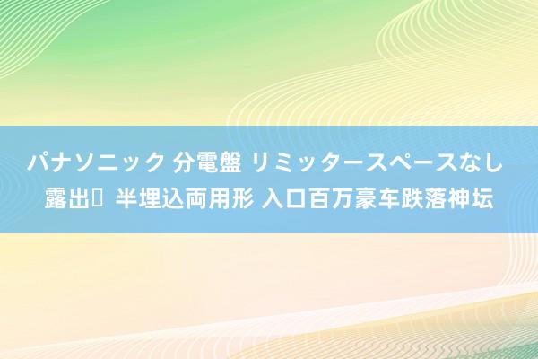 パナソニック 分電盤 リミッタースペースなし 露出・半埋込両用形 入口百万豪车跌落神坛