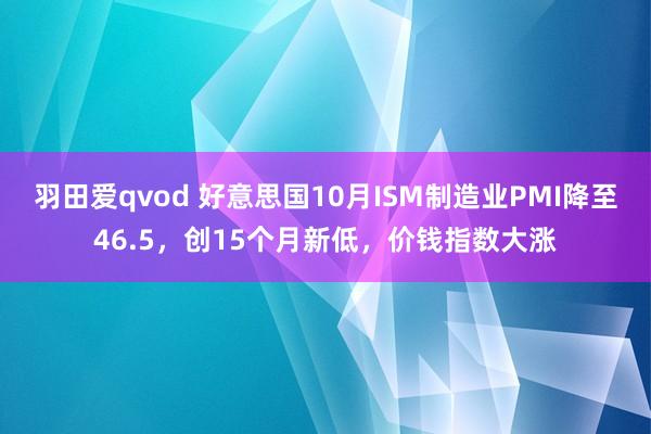 羽田爱qvod 好意思国10月ISM制造业PMI降至46.5，创15个月新低，价钱指数大涨