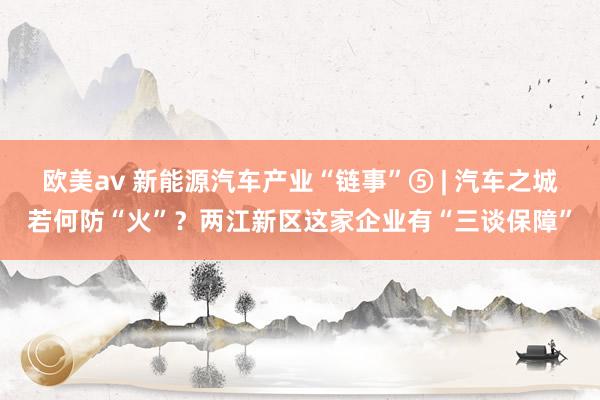 欧美av 新能源汽车产业“链事”⑤ | 汽车之城若何防“火”？两江新区这家企业有“三谈保障”