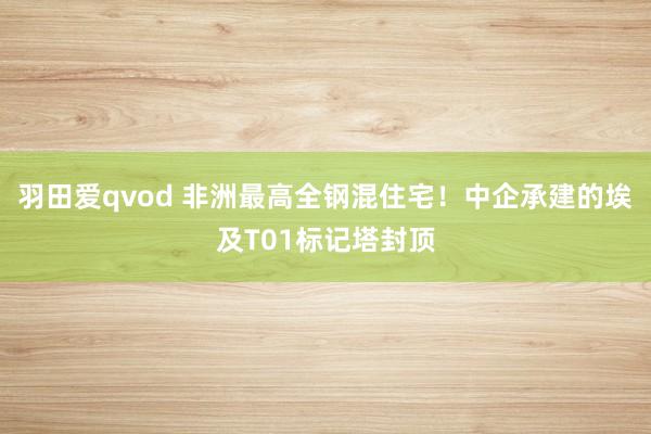 羽田爱qvod 非洲最高全钢混住宅！中企承建的埃及T01标记塔封顶