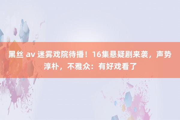 黑丝 av 迷雾戏院待播！16集悬疑剧来袭，声势淳朴，不雅众：有好戏看了