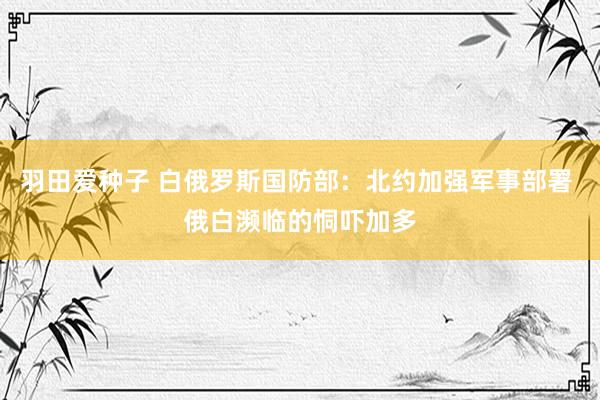 羽田爱种子 白俄罗斯国防部：北约加强军事部署 俄白濒临的恫吓加多