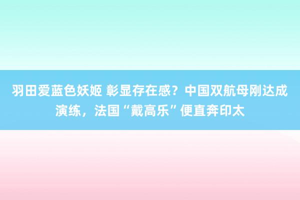 羽田爱蓝色妖姬 彰显存在感？中国双航母刚达成演练，法国“戴高乐”便直奔印太