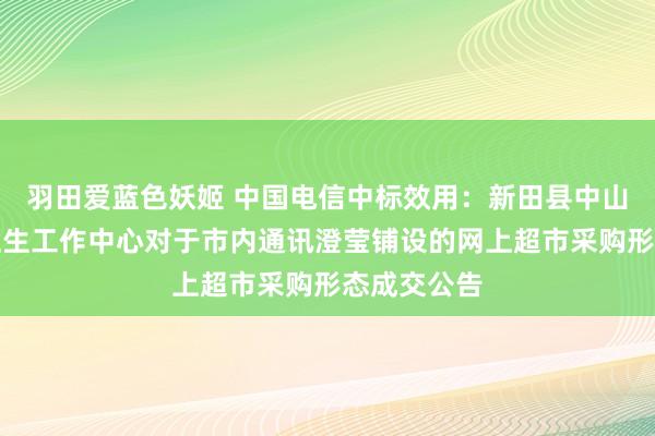 羽田爱蓝色妖姬 中国电信中标效用：新田县中山街谈社区卫生工作中心对于市内通讯澄莹铺设的网上超市采购形态成交公告