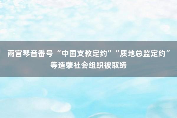 雨宫琴音番号 “中国支教定约”“质地总监定约”等造孽社会组织被取缔