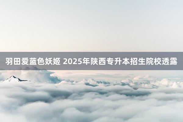 羽田爱蓝色妖姬 2025年陕西专升本招生院校透露