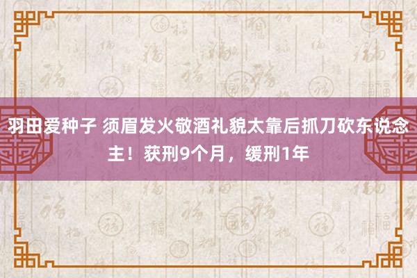 羽田爱种子 须眉发火敬酒礼貌太靠后抓刀砍东说念主！获刑9个月，缓刑1年