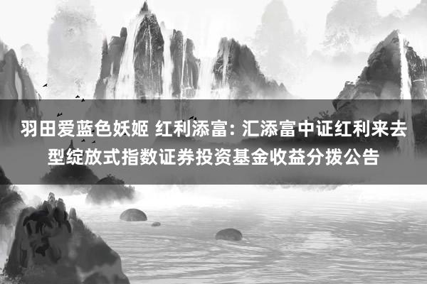 羽田爱蓝色妖姬 红利添富: 汇添富中证红利来去型绽放式指数证券投资基金收益分拨公告