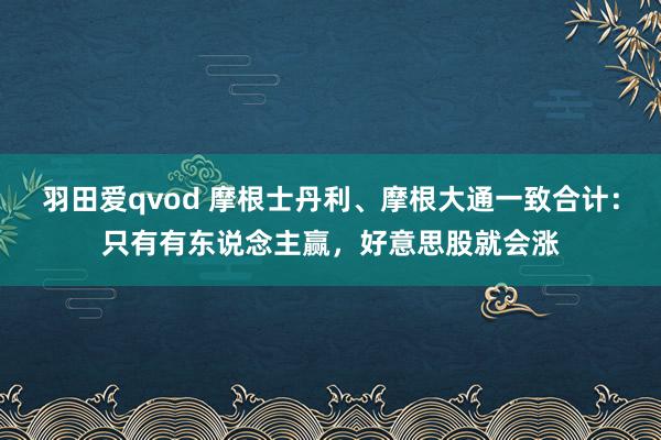 羽田爱qvod 摩根士丹利、摩根大通一致合计：只有有东说念主赢，好意思股就会涨