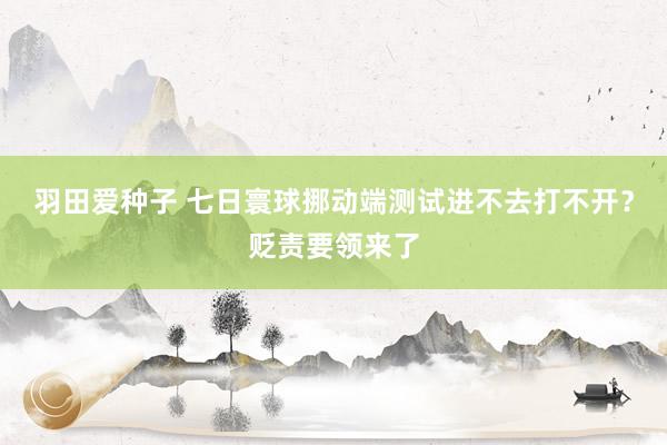 羽田爱种子 七日寰球挪动端测试进不去打不开？贬责要领来了