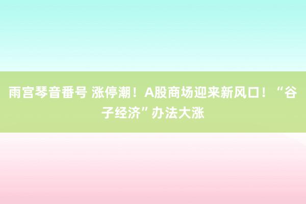 雨宫琴音番号 涨停潮！A股商场迎来新风口！“谷子经济”办法大涨