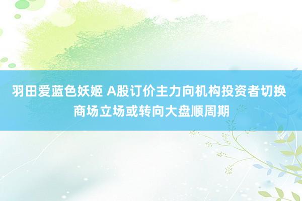 羽田爱蓝色妖姬 A股订价主力向机构投资者切换 商场立场或转向大盘顺周期