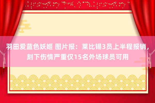 羽田爱蓝色妖姬 图片报：莱比锡3员上半程报销，刻下伤情严重仅15名外场球员可用