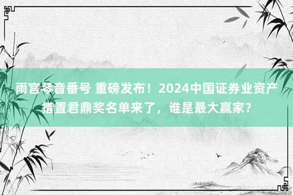 雨宫琴音番号 重磅发布！2024中国证券业资产措置君鼎奖名单来了，谁是最大赢家？