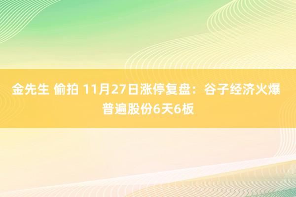 金先生 偷拍 11月27日涨停复盘：谷子经济火爆 普遍股份6天6板