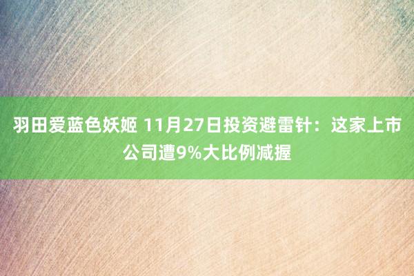 羽田爱蓝色妖姬 11月27日投资避雷针：这家上市公司遭9%大比例减握