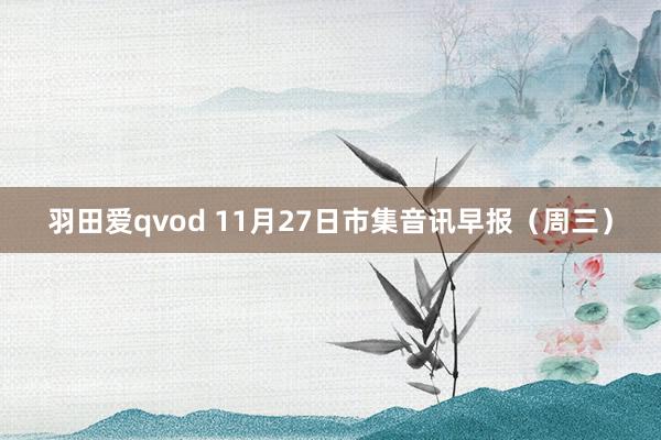 羽田爱qvod 11月27日市集音讯早报（周三）