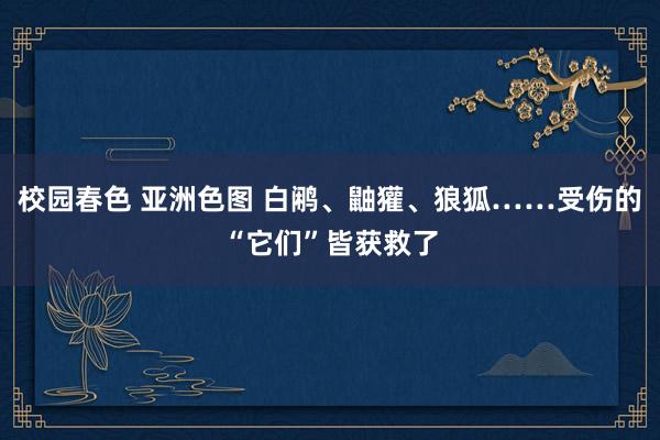 校园春色 亚洲色图 白鹇、鼬獾、狼狐……受伤的“它们”皆获救了