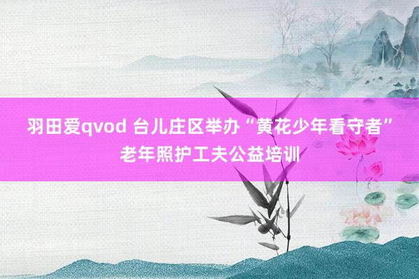 羽田爱qvod 台儿庄区举办“黄花少年看守者”老年照护工夫公益培训