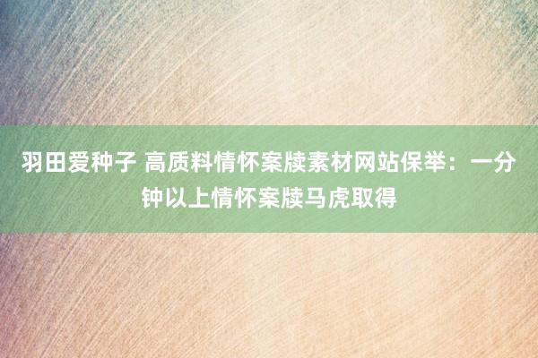 羽田爱种子 高质料情怀案牍素材网站保举：一分钟以上情怀案牍马虎取得