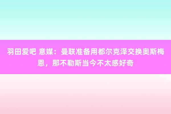 羽田爱吧 意媒：曼联准备用都尔克泽交换奥斯梅恩，那不勒斯当今不太感好奇